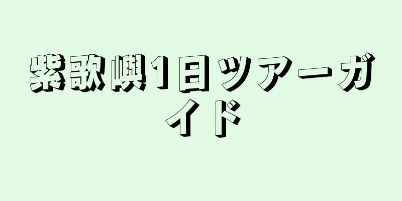 紫歌嶼1日ツアーガイド