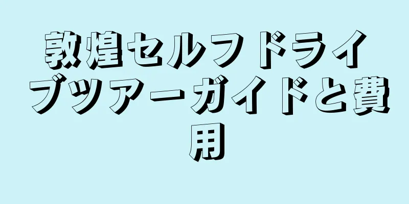 敦煌セルフドライブツアーガイドと費用