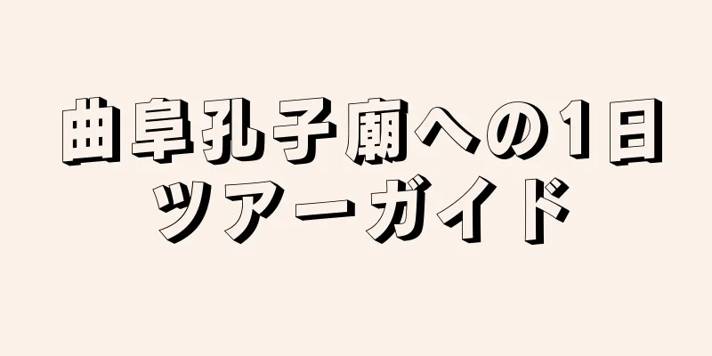 曲阜孔子廟への1日ツアーガイド