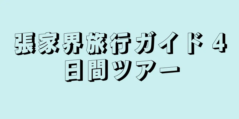 張家界旅行ガイド 4日間ツアー