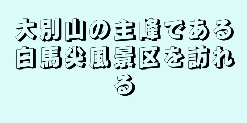 大別山の主峰である白馬尖風景区を訪れる