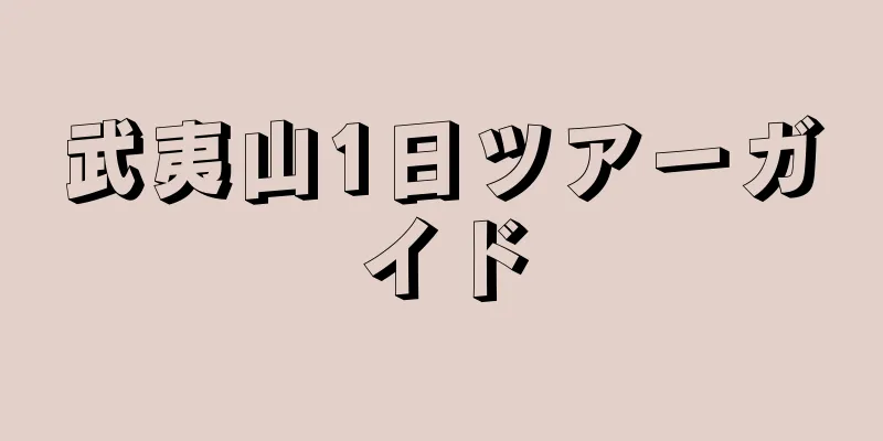 武夷山1日ツアーガイド