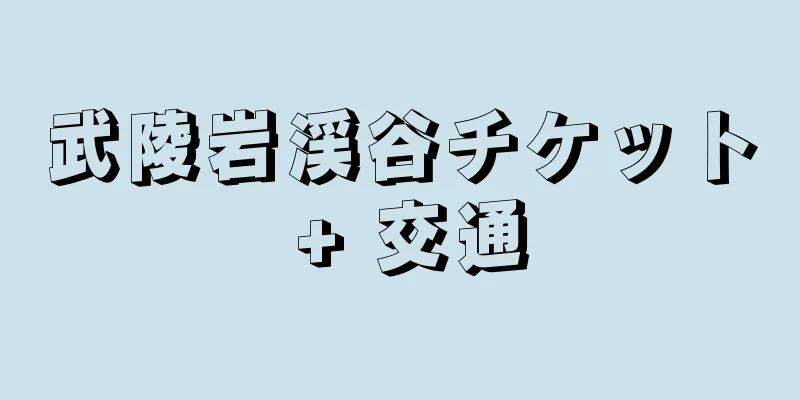 武陵岩渓谷チケット + 交通
