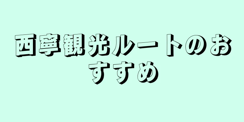 西寧観光ルートのおすすめ