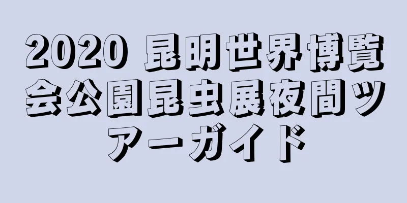 2020 昆明世界博覧会公園昆虫展夜間ツアーガイド
