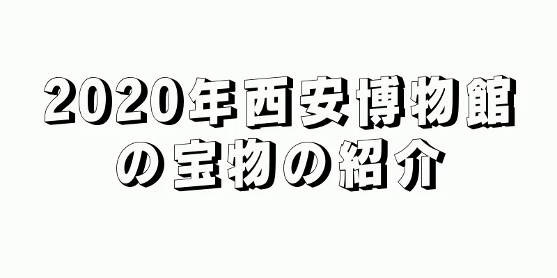 2020年西安博物館の宝物の紹介