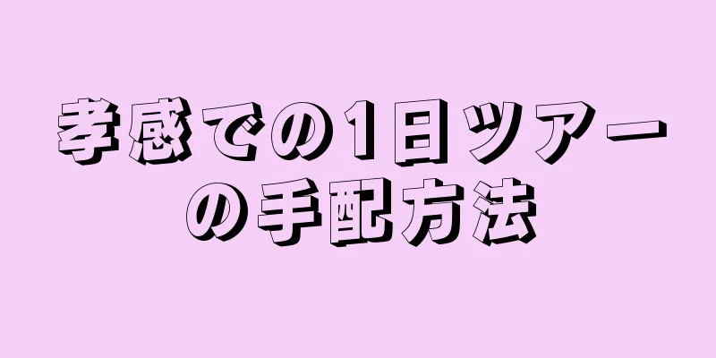 孝感での1日ツアーの手配方法