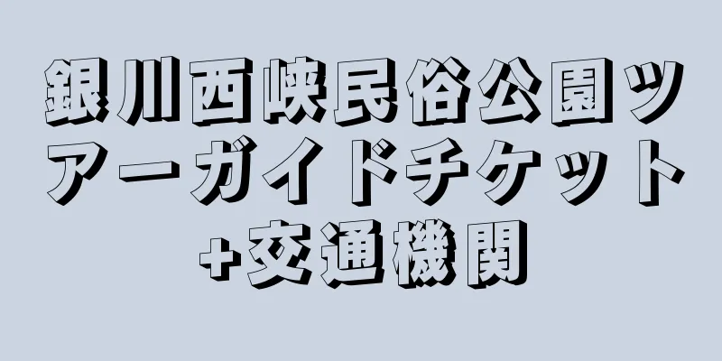 銀川西峡民俗公園ツアーガイドチケット+交通機関
