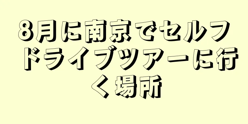 8月に南京でセルフドライブツアーに行く場所