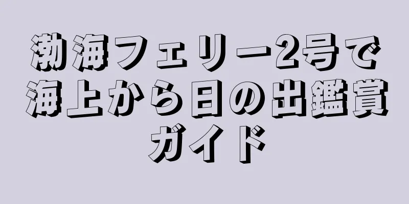 渤海フェリー2号で海上から日の出鑑賞ガイド