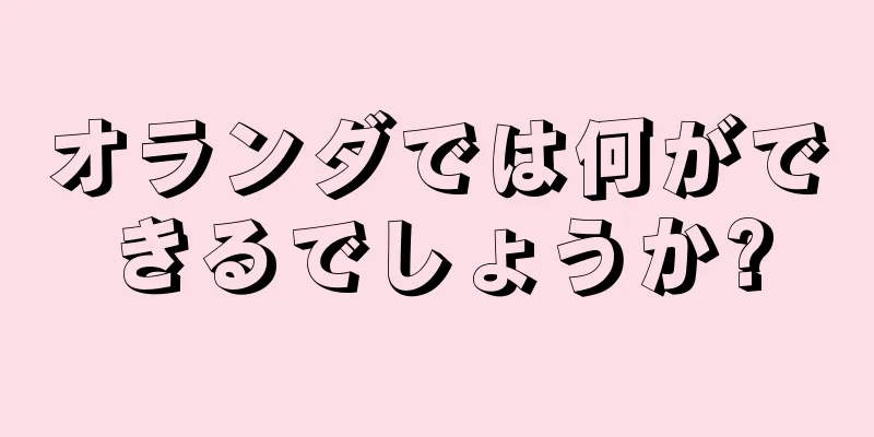 オランダでは何ができるでしょうか?