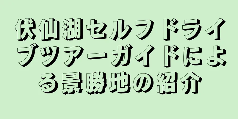 伏仙湖セルフドライブツアーガイドによる景勝地の紹介