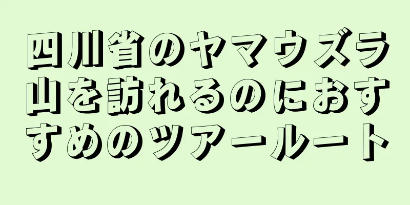 四川省のヤマウズラ山を訪れるのにおすすめのツアールート