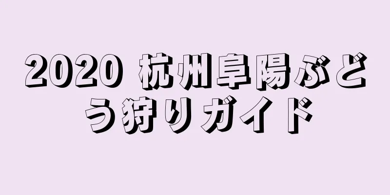 2020 杭州阜陽ぶどう狩りガイド