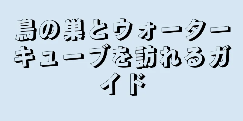 鳥の巣とウォーターキューブを訪れるガイド