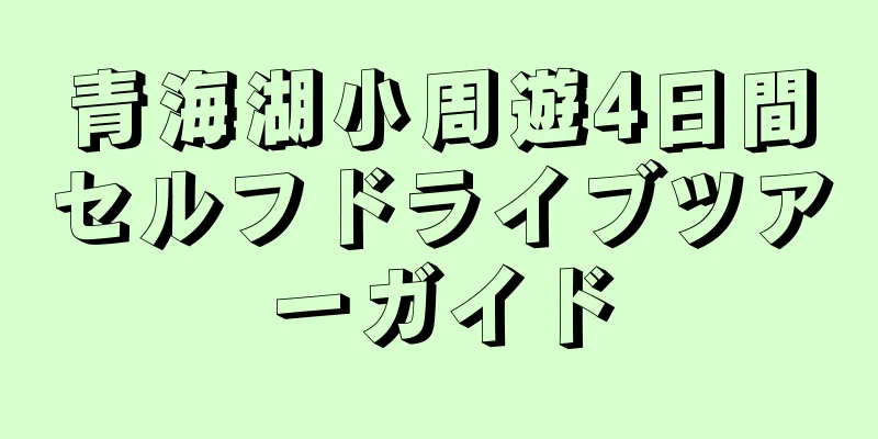 青海湖小周遊4日間セルフドライブツアーガイド