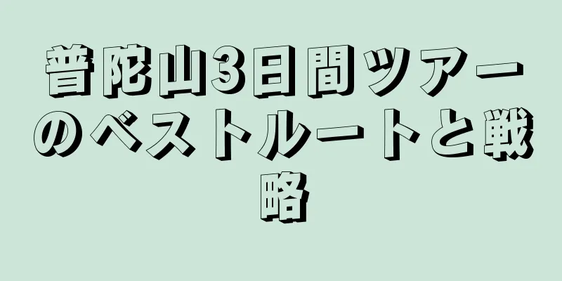 普陀山3日間ツアーのベストルートと戦略