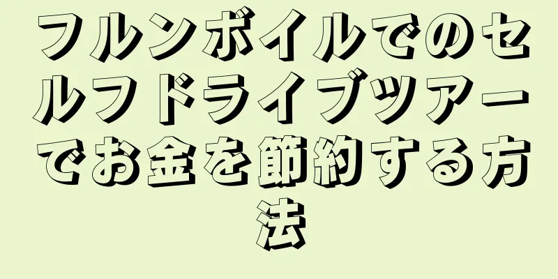 フルンボイルでのセルフドライブツアーでお金を節約する方法