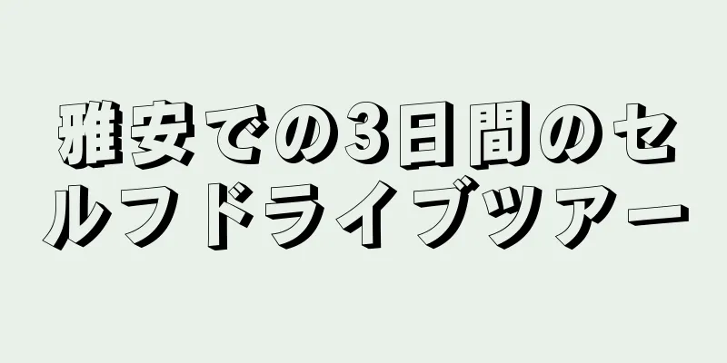 雅安での3日間のセルフドライブツアー