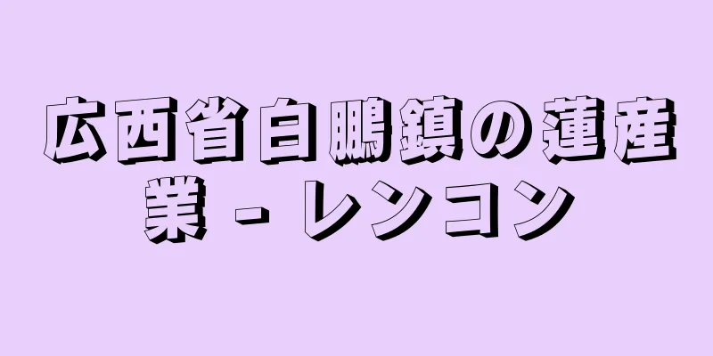 広西省白鵬鎮の蓮産業 - レンコン
