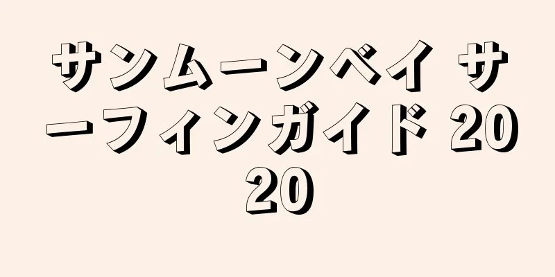 サンムーンベイ サーフィンガイド 2020