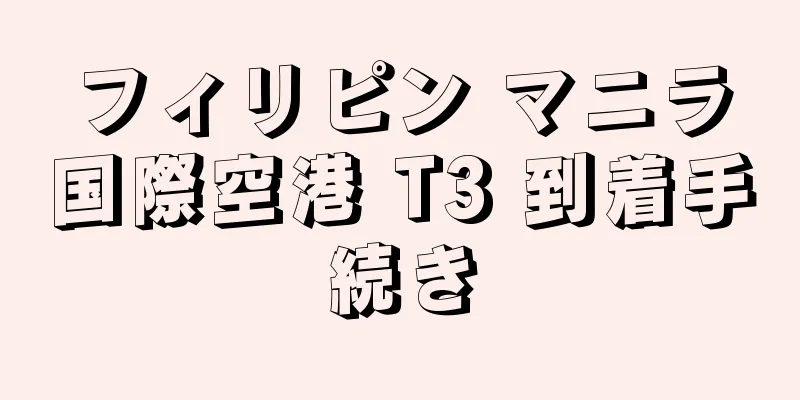 フィリピン マニラ国際空港 T3 到着手続き