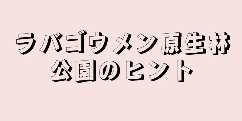 ラバゴウメン原生林公園のヒント