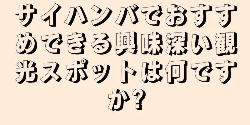 サイハンバでおすすめできる興味深い観光スポットは何ですか?