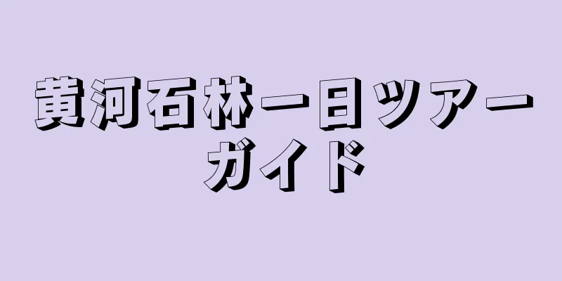 黄河石林一日ツアーガイド