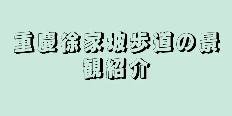 重慶徐家坡歩道の景観紹介