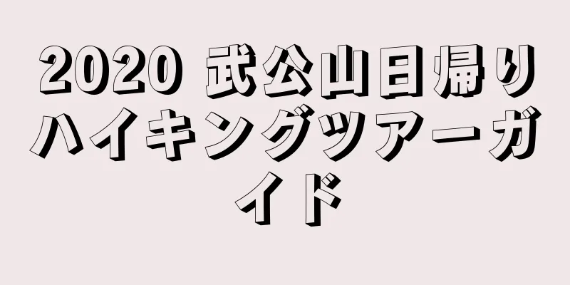 2020 武公山日帰りハイキングツアーガイド