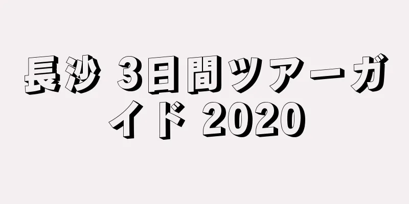長沙 3日間ツアーガイド 2020