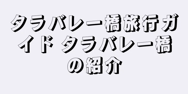 タラバレー橋旅行ガイド タラバレー橋の紹介