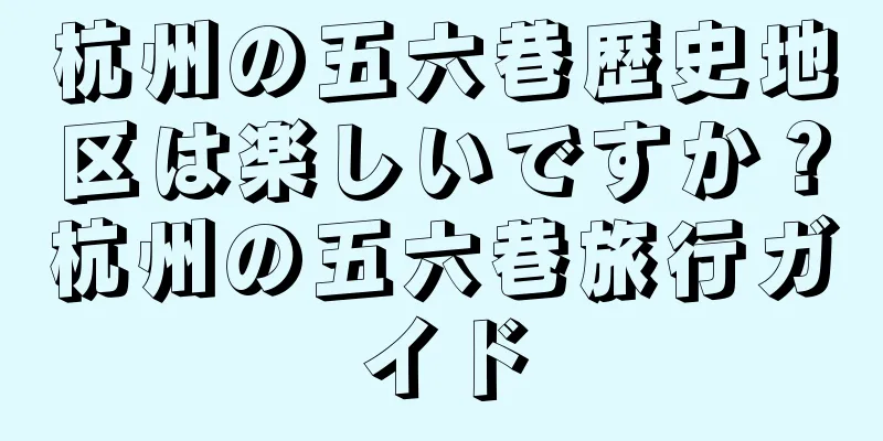 杭州の五六巷歴史地区は楽しいですか？杭州の五六巷旅行ガイド