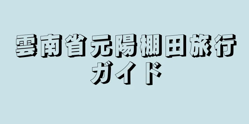 雲南省元陽棚田旅行ガイド