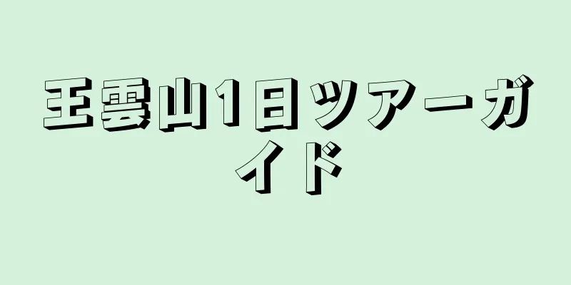 王雲山1日ツアーガイド