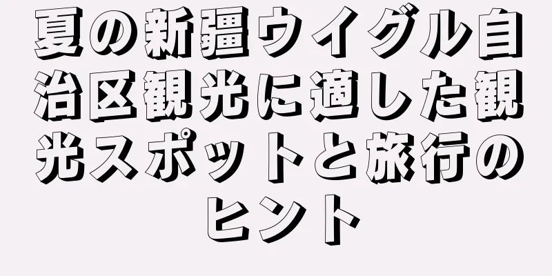 夏の新疆ウイグル自治区観光に適した観光スポットと旅行のヒント