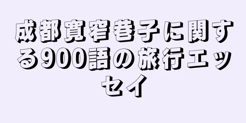 成都寛窄巷子に関する900語の旅行エッセイ