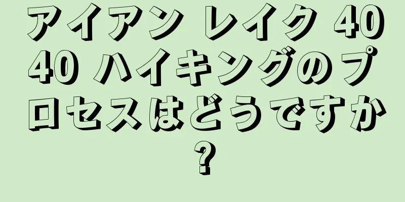 アイアン レイク 4040 ハイキングのプロセスはどうですか?