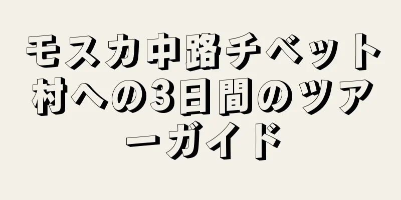 モスカ中路チベット村への3日間のツアーガイド