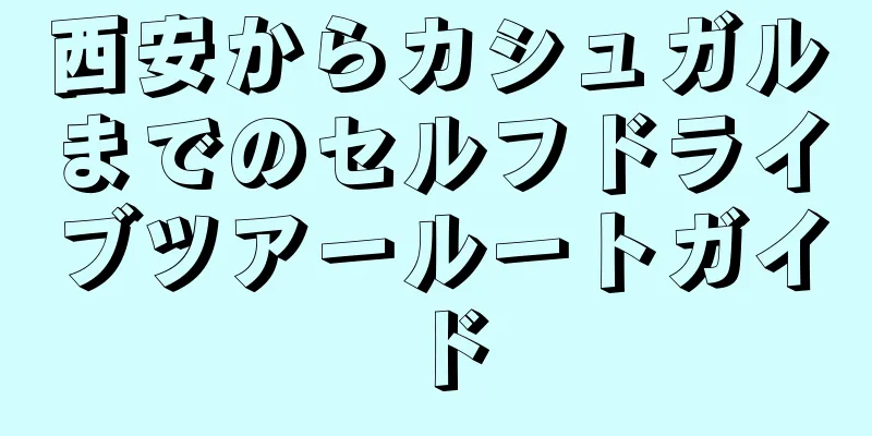 西安からカシュガルまでのセルフドライブツアールートガイド