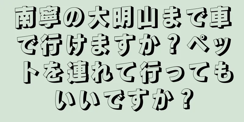 南寧の大明山まで車で行けますか？ペットを連れて行ってもいいですか？