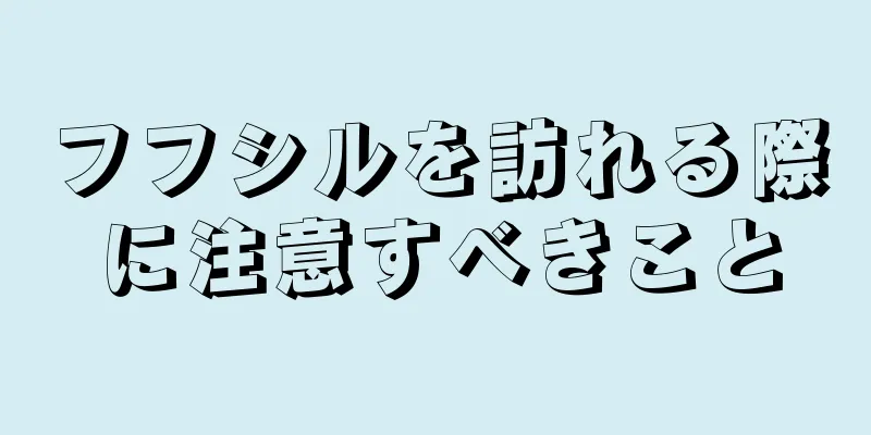 フフシルを訪れる際に注意すべきこと