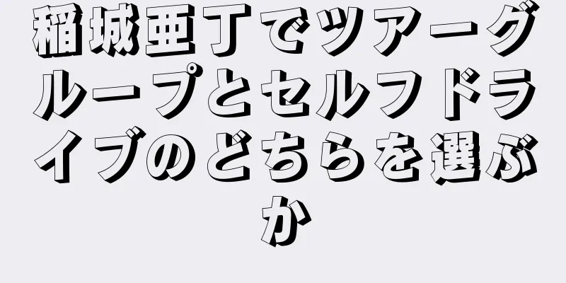 稲城亜丁でツアーグループとセルフドライブのどちらを選ぶか