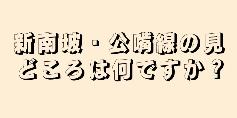 新南坡・公嘴線の見どころは何ですか？