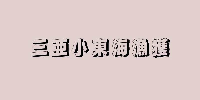 三亜小東海漁獲
