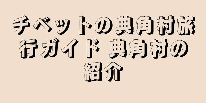 チベットの典角村旅行ガイド 典角村の紹介