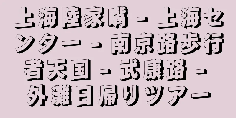 上海陸家嘴 - 上海センター - 南京路歩行者天国 - 武康路 - 外灘日帰りツアー
