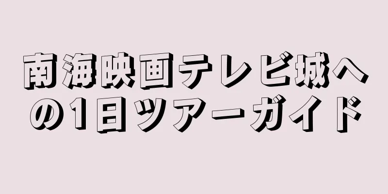 南海映画テレビ城への1日ツアーガイド