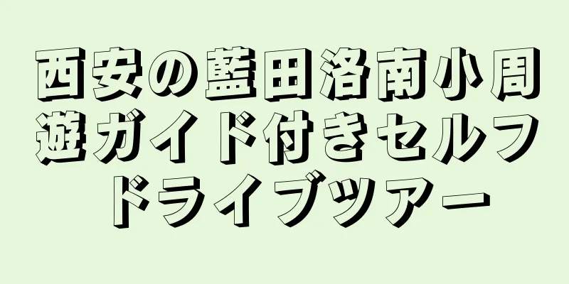 西安の藍田洛南小周遊ガイド付きセルフドライブツアー